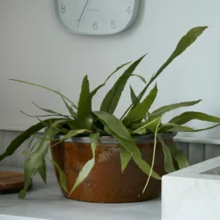 House Doctor Whai Blumentopf Ø37cm 7 House Doctor Whai Blumentopf Ø37cm -House Doctor Online-Geschäft 500204 01 3 EnvironmentImage 4ce9877706