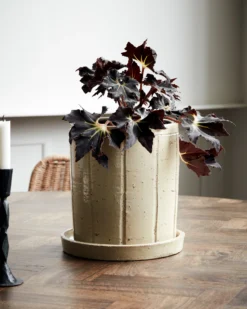 House Doctor Julian Blumentopf Ø22cm -House Doctor Online-Geschäft 507028 01 2 EnvironmentImage 0934ceab58